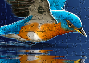 Bluebird Lake Reflection Puzzle. Birds. Jigsaw Puzzle. Puzzles for Children and Adults. 252 Piece Puzzle.