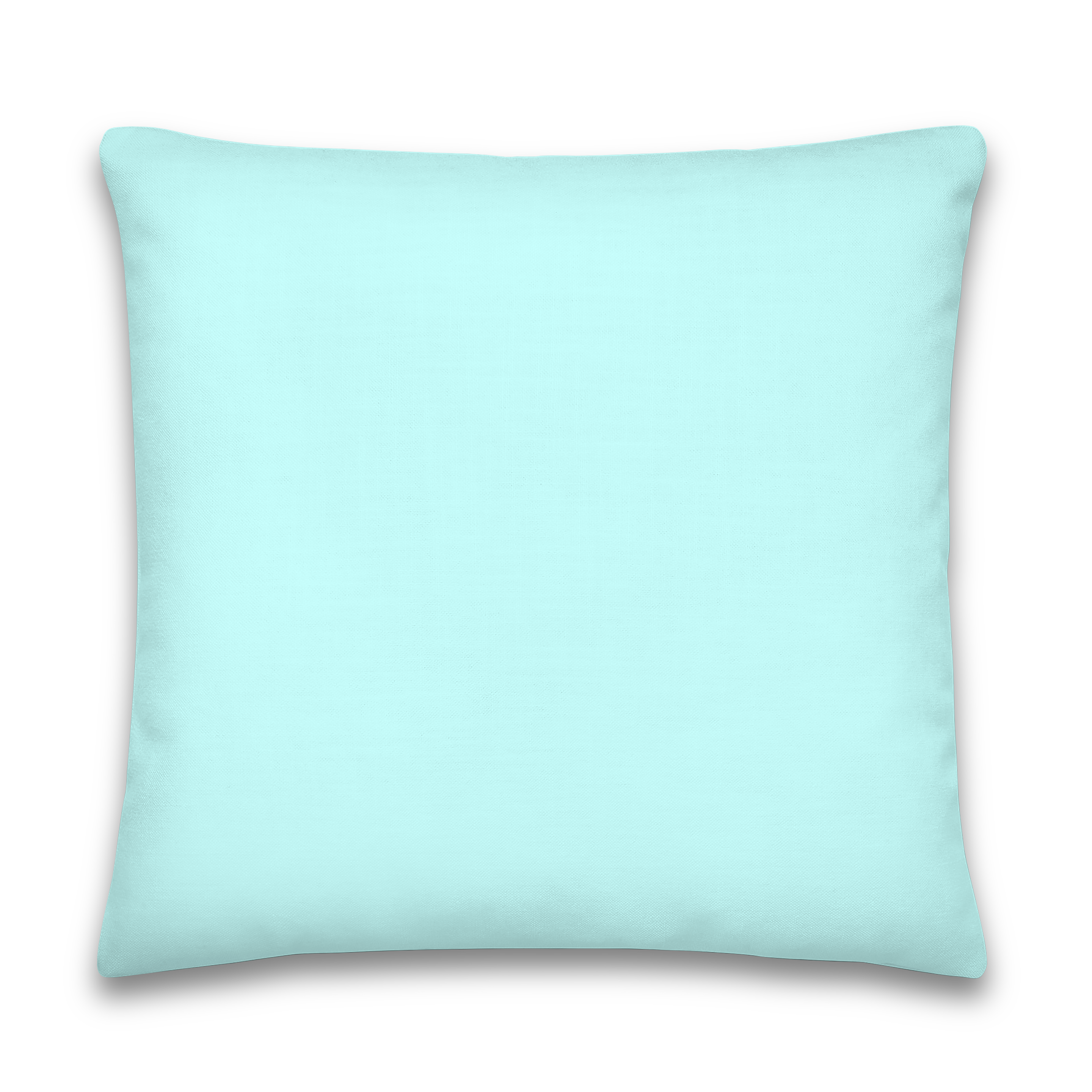 18"x18" Panda Bear Pillow, Bamboo, Gift, Children and Adults, Decorative Accent, Teal, Home Decor