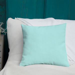 18"x18" Panda Bear Pillow, Bamboo, Gift, Children and Adults, Decorative Accent, Teal, Home Decor