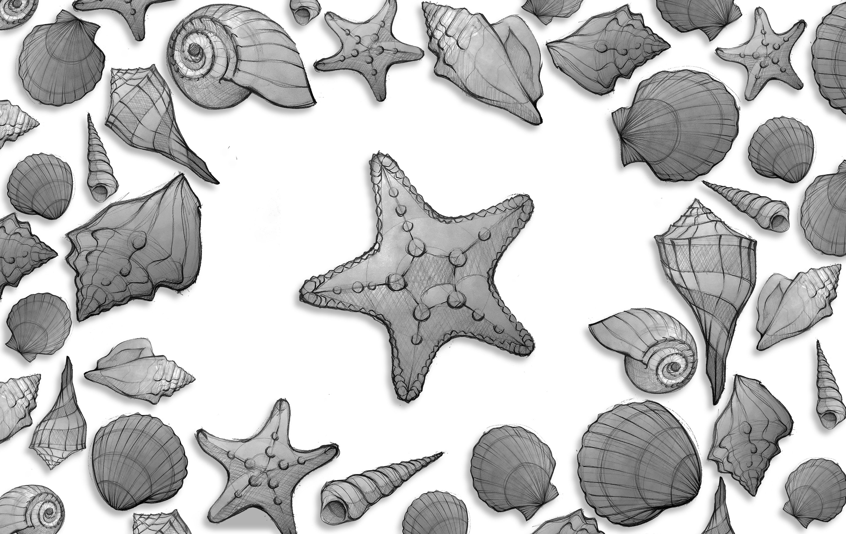 Merry Christmas Starfish and Seashells Beach Puzzle. Beach. Winter. Jigsaw Puzzle. Puzzles for Children and Adults. 252 Piece Puzzle.