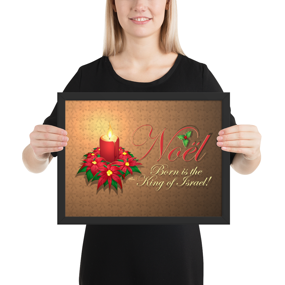 Framed Noel Poinsettia Poster