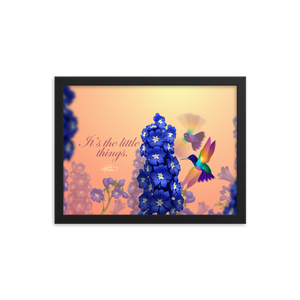 Framed Hummingbirds Poster