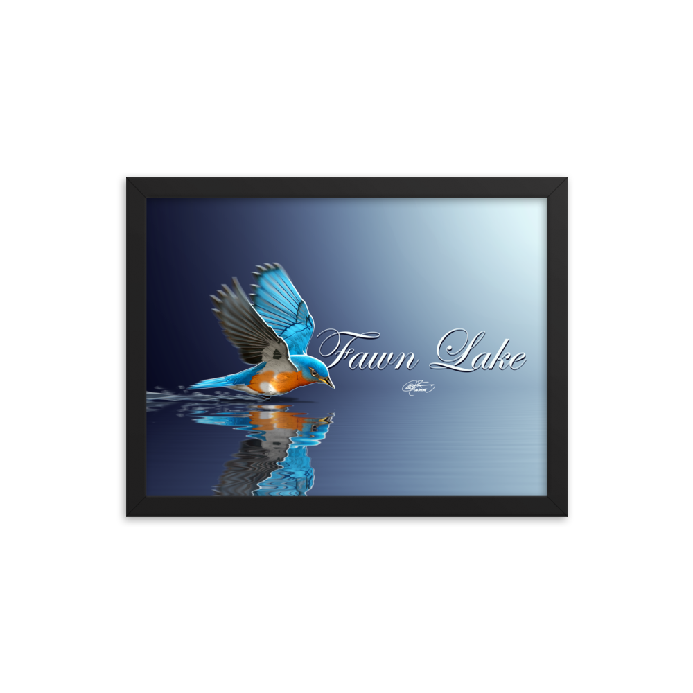 Framed Fawn Lake Bluebird Poster