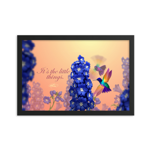Framed Hummingbirds Poster