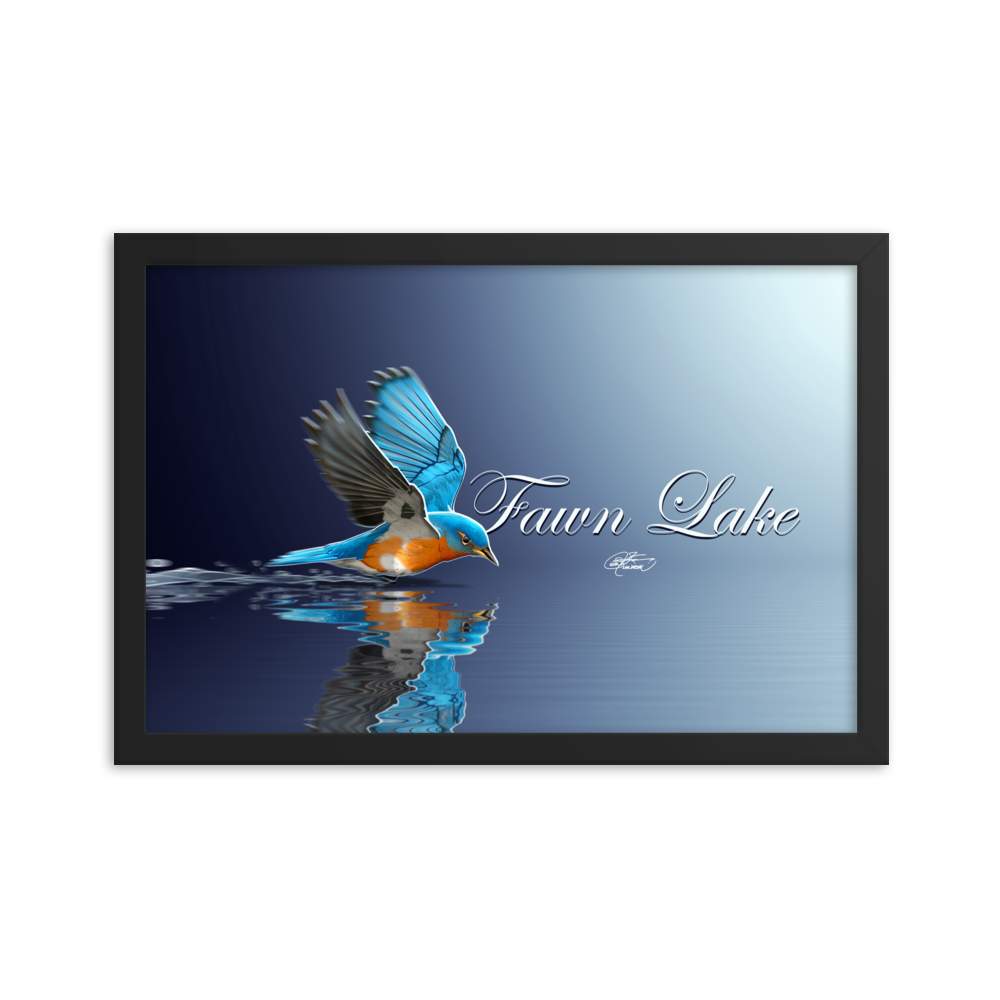 Framed Fawn Lake Bluebird Poster
