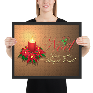 Framed Noel Poinsettia Poster