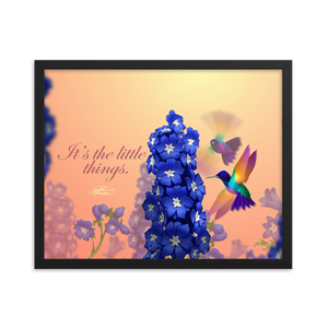 Framed Hummingbirds Poster