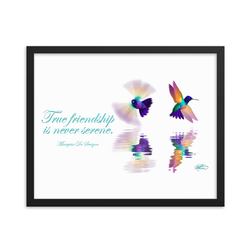 Framed Hummingbirds Poster