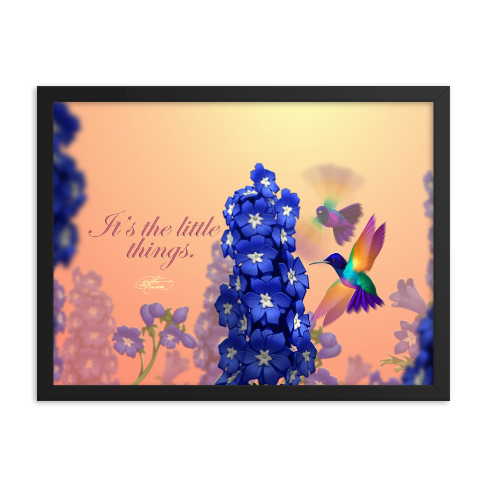 Framed Hummingbirds Poster