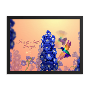 Framed Hummingbirds Poster