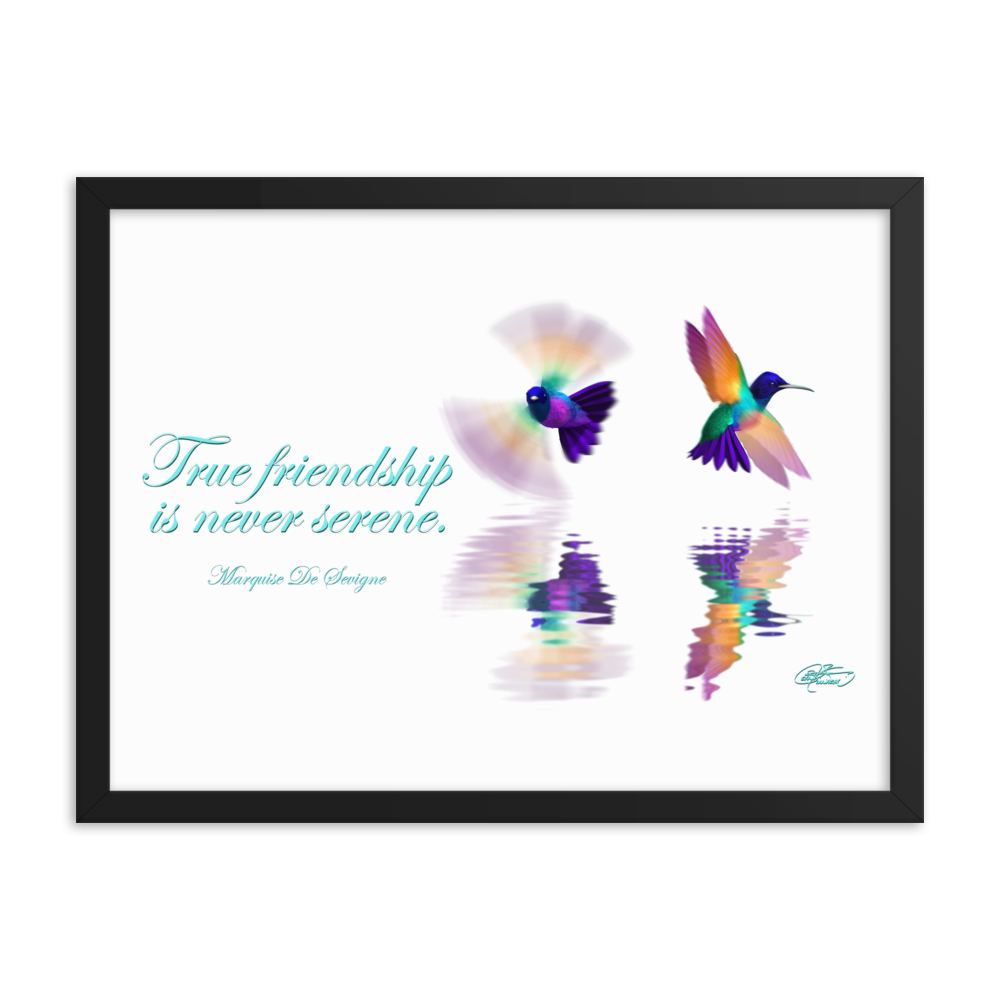 Framed Hummingbirds Poster