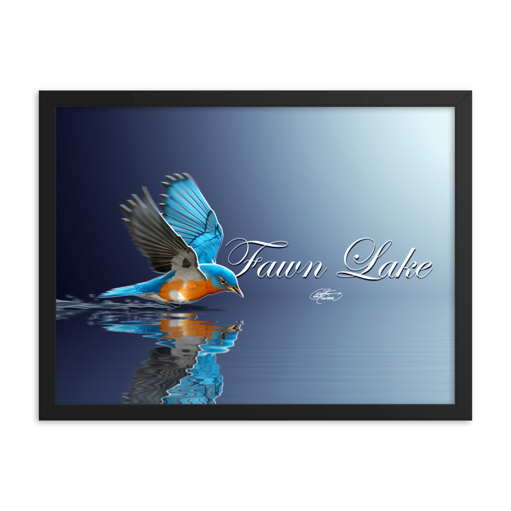 Framed Fawn Lake Bluebird Poster