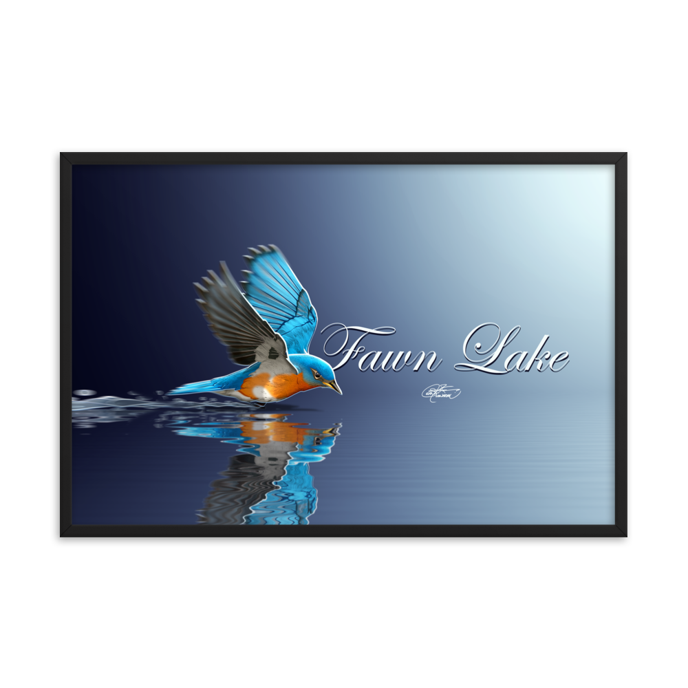 Framed Fawn Lake Bluebird Poster