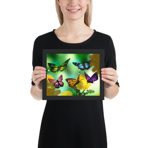 Framed Butterflies Poster