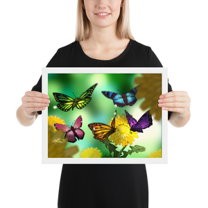 Framed Butterflies Poster