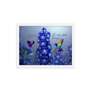 Framed Hummingbirds & Delphiniums Poster