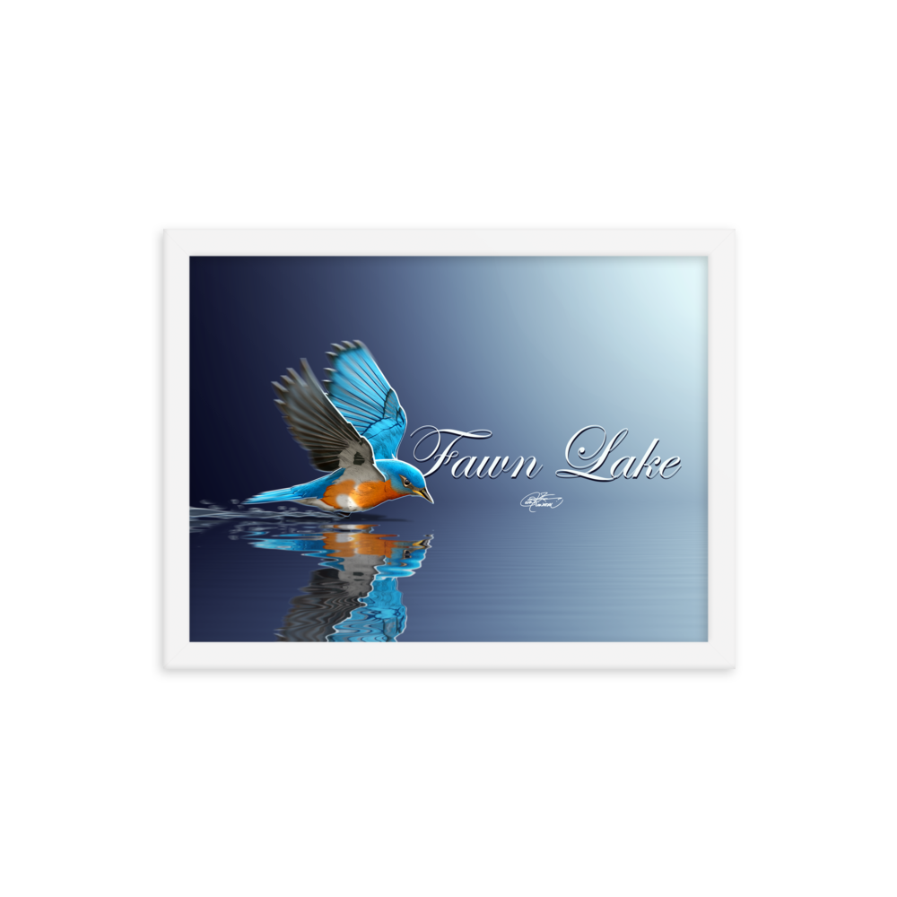 Framed Fawn Lake Bluebird Poster