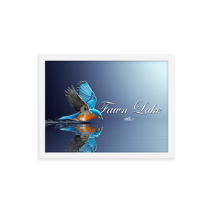 Framed Fawn Lake Bluebird Poster