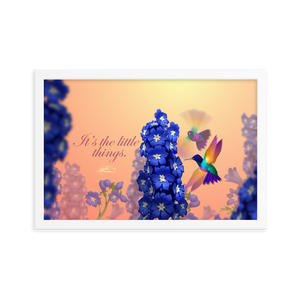 Framed Hummingbirds Poster