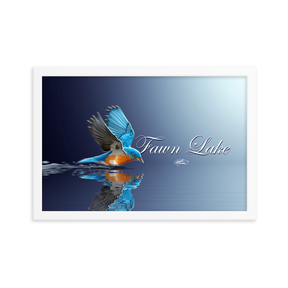 Framed Fawn Lake Bluebird Poster