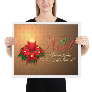 Framed Noel Poinsettia Poster
