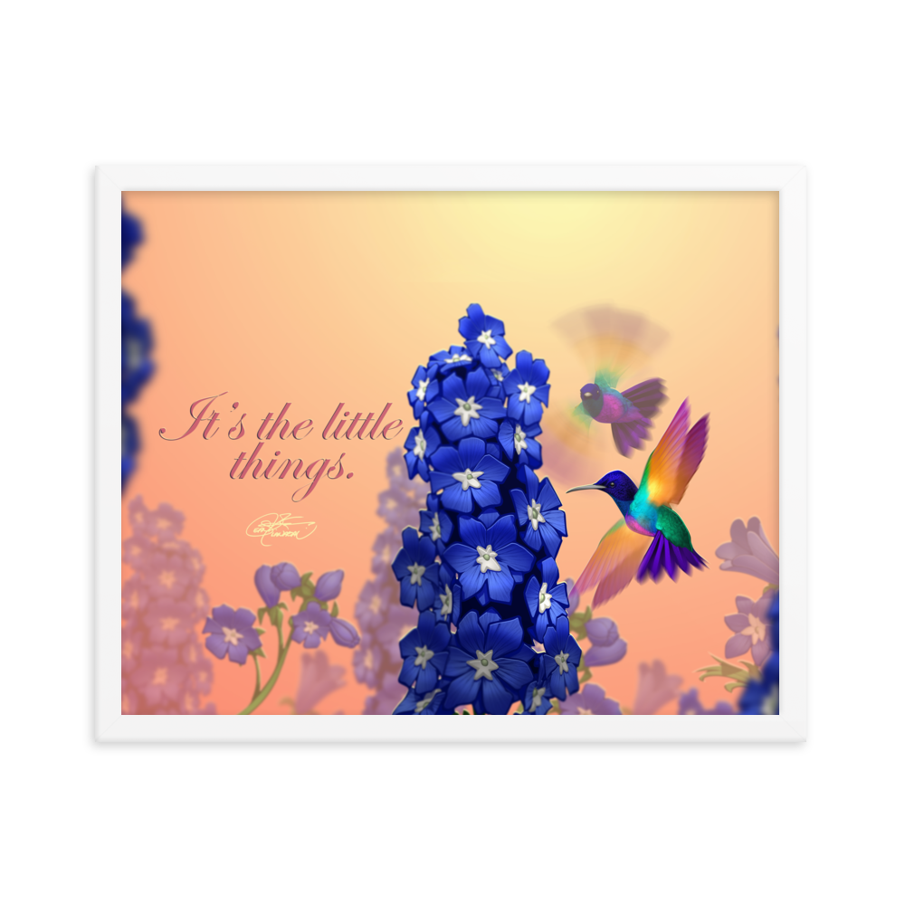 Framed Hummingbirds Poster