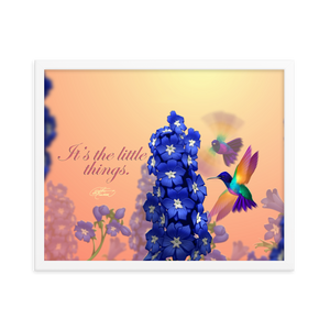 Framed Hummingbirds Poster