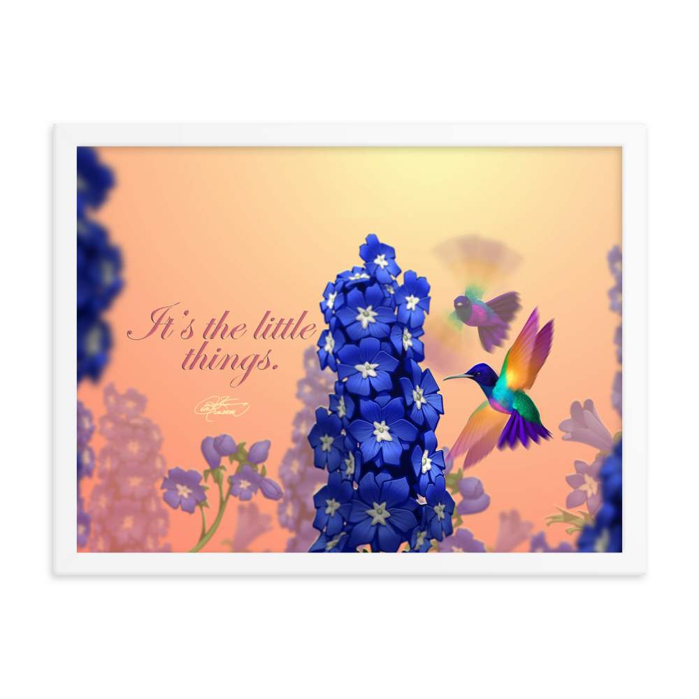 Framed Hummingbirds Poster