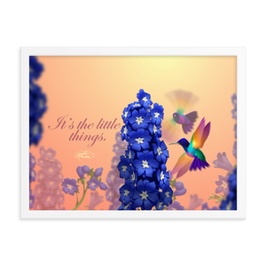 Framed Hummingbirds Poster