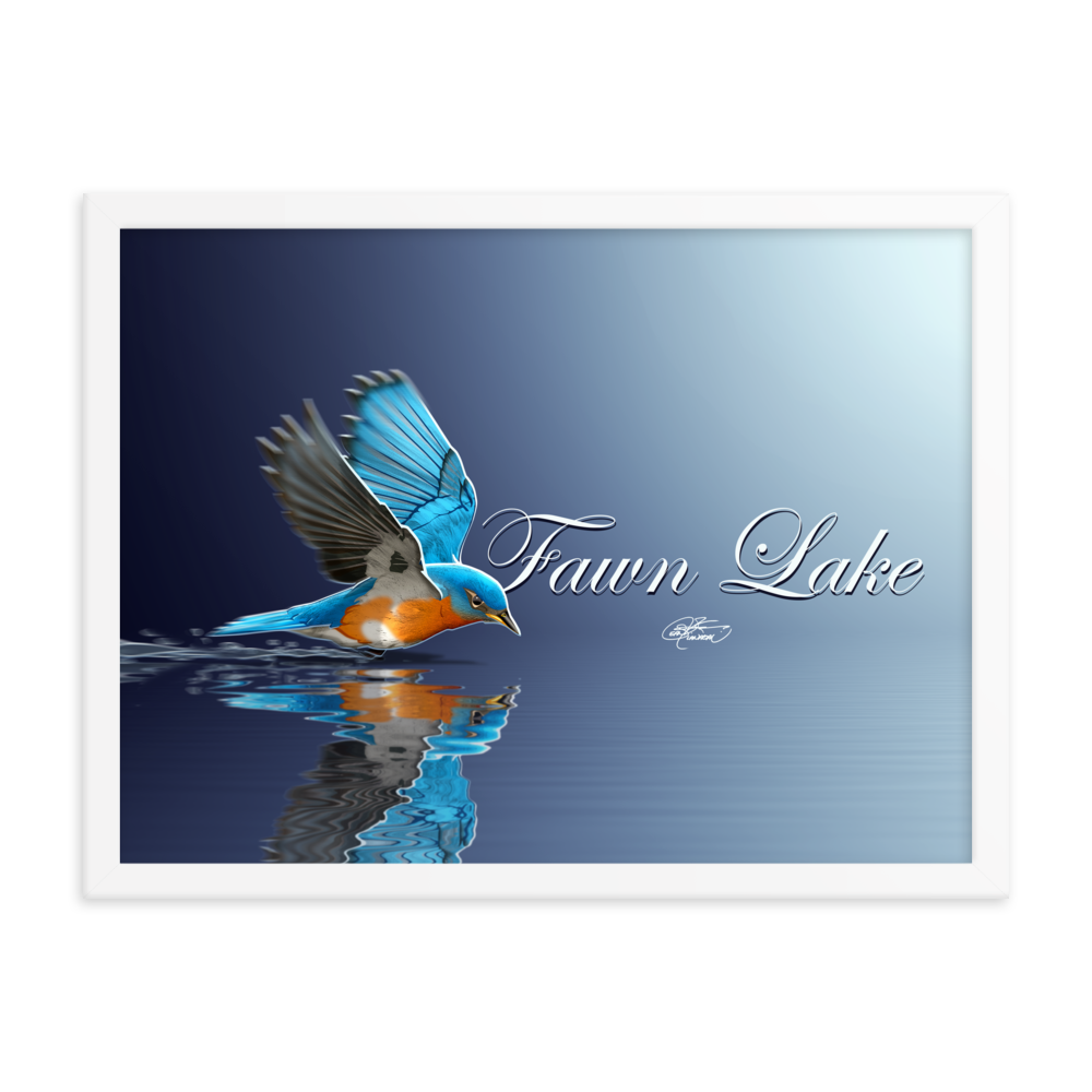 Framed Fawn Lake Bluebird Poster