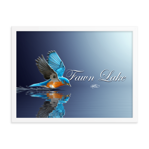 Framed Fawn Lake Bluebird Poster