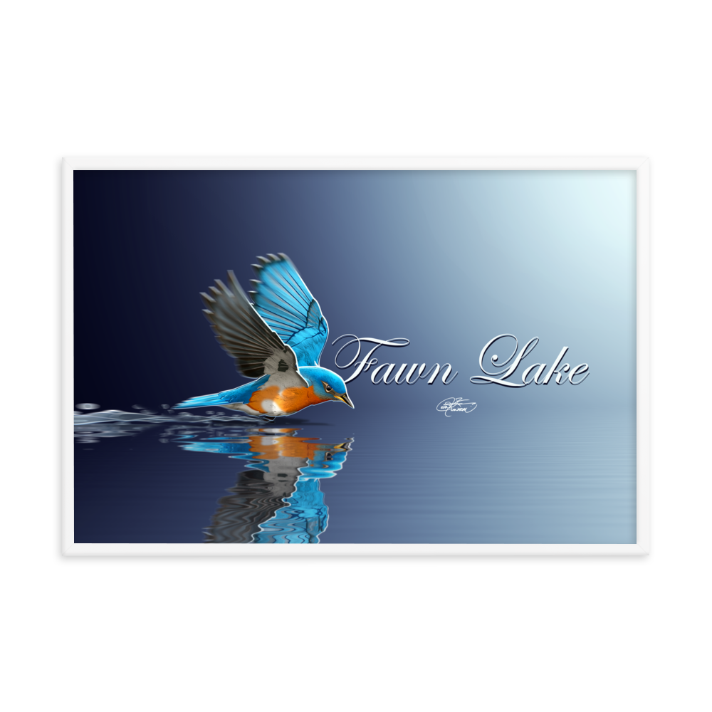 Framed Fawn Lake Bluebird Poster