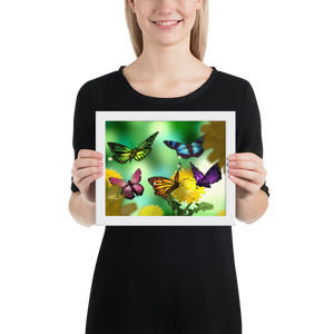 Framed Butterflies Poster