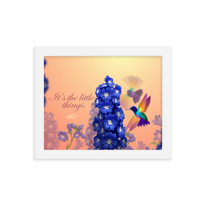 Framed Hummingbirds Poster