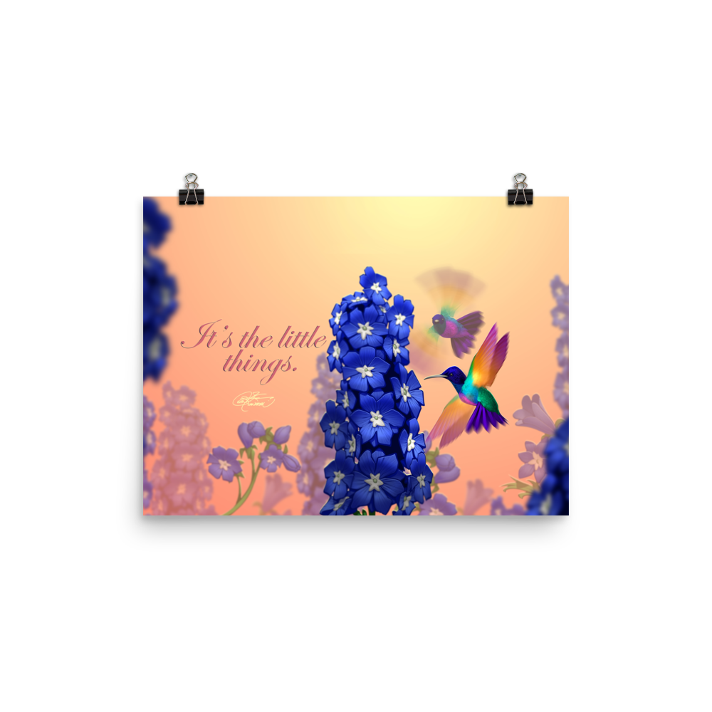 Hummingbirds Poster