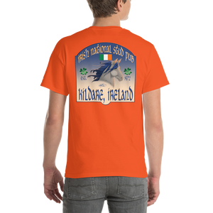 Kildare Ireland Short Sleeve Men's T-Shirt